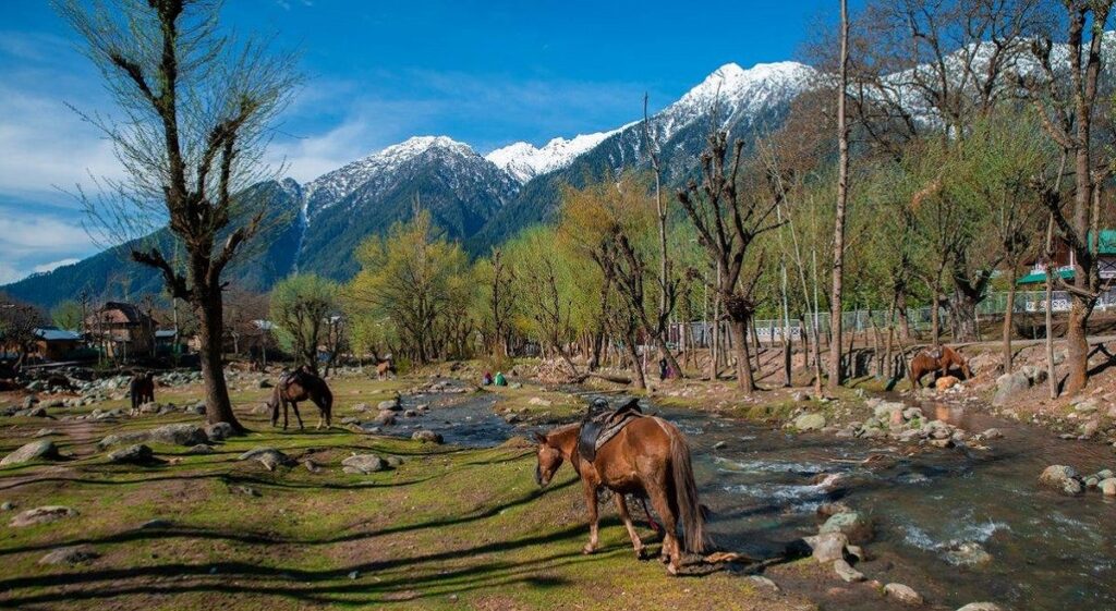 Enchanting Kashmir (Group Tour)