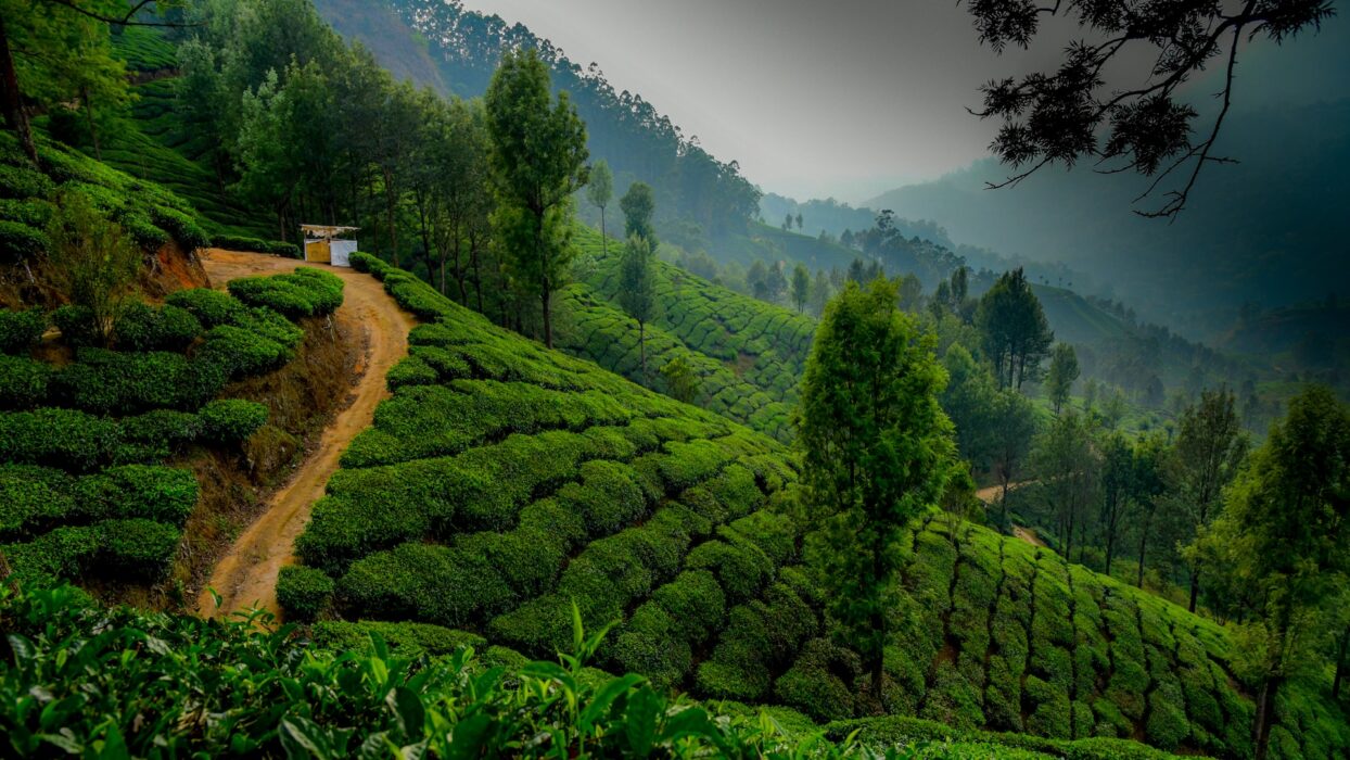 kerala